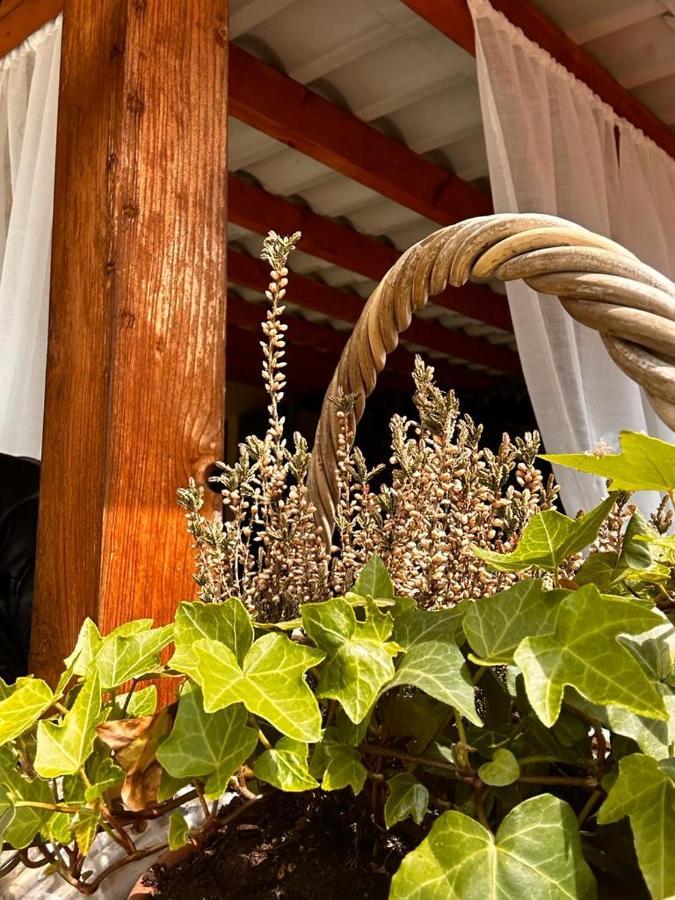 Ferienwohnung Bon Bon Del Corso Con Terrazzo E Aria Condizionata Asti Exterior foto
